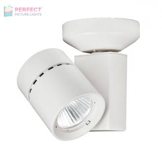 WAC Exterminator II 22W LED Monopoint/Spot - White