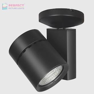 WAC Exterminator II 52W LED Monopoint/Spot - Black