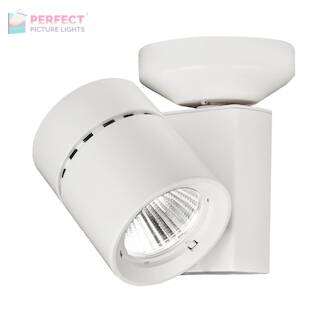 WAC Exterminator II 52W LED Monopoint/Spot - White