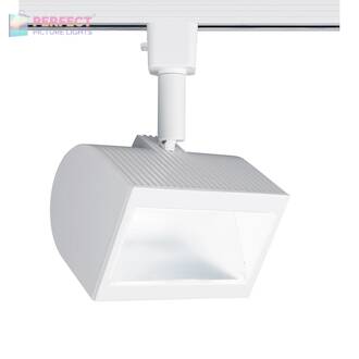 WAC Wall Wash 20W Track Head - White